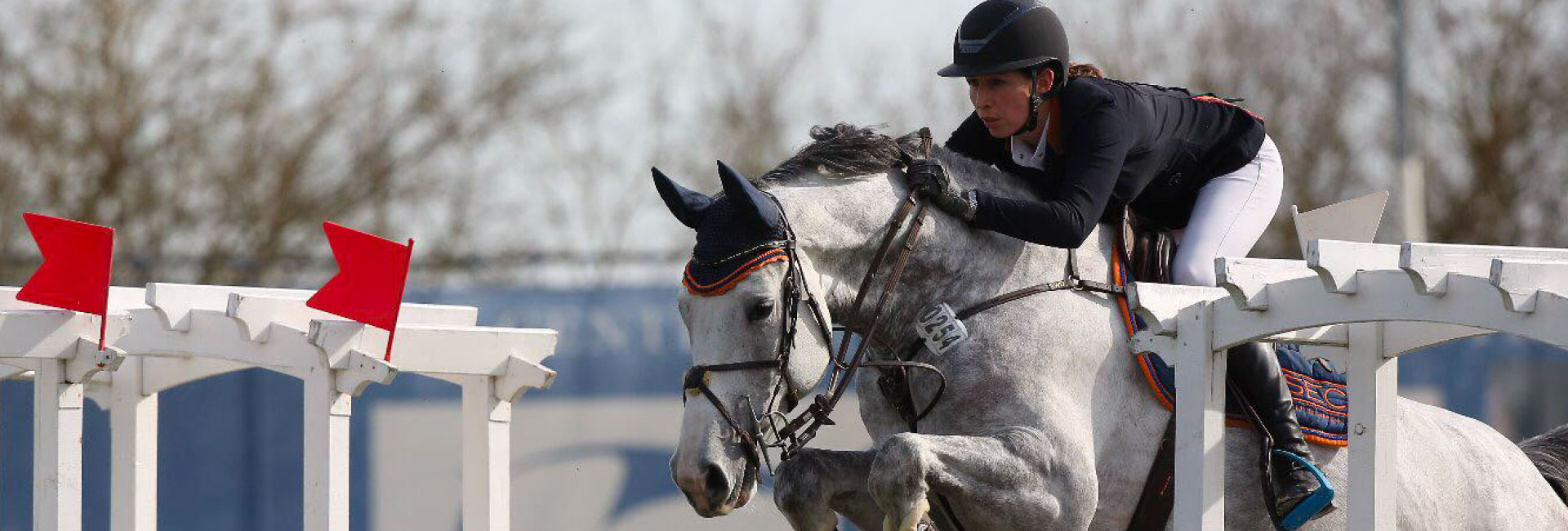 Springen im Pferdesport